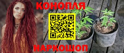 каннабис Кингисепп