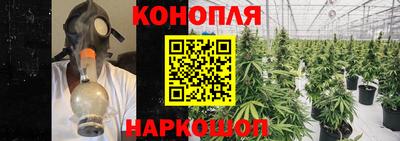 дмт Кимры