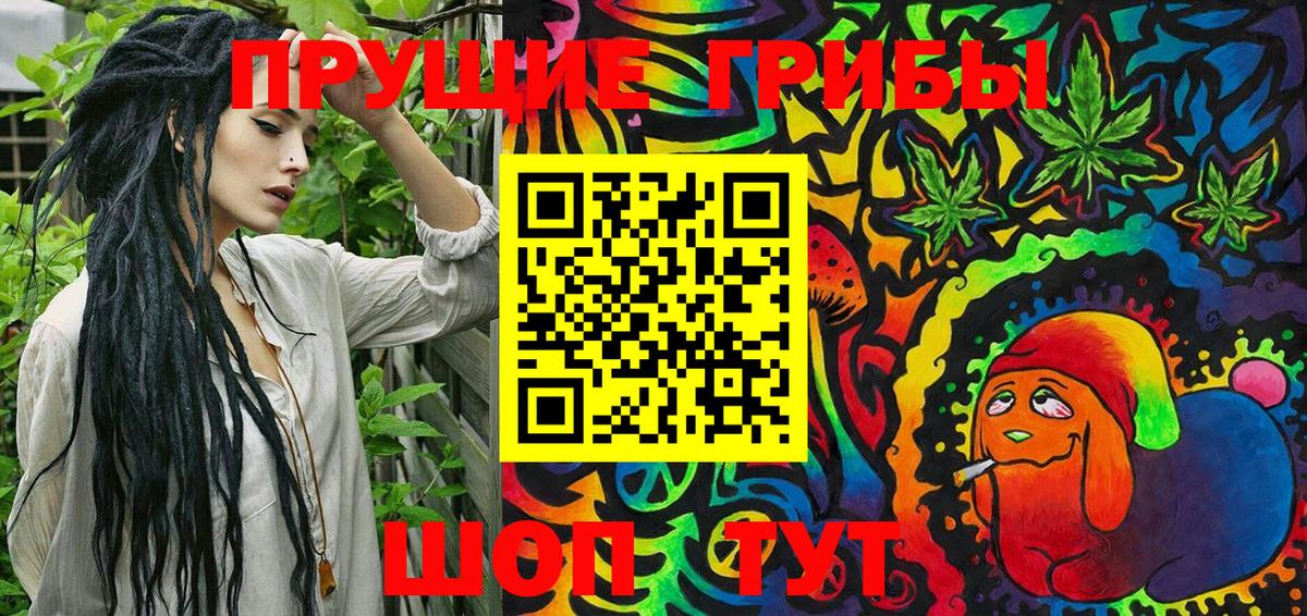 Псилоцибиновые грибы Cubensis Волхов